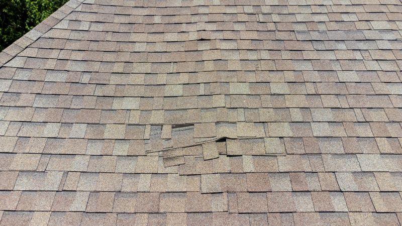 Asphalt Roof Inspection in Castle Rock, CO