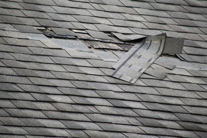 Asphalt Roof Leak Repair in Parker, CO