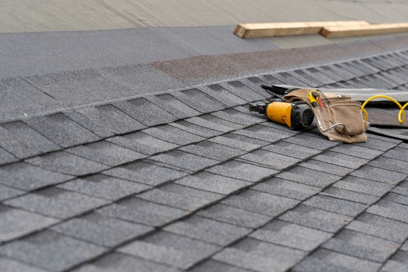 Asphalt Roof Repair in Denver County, CO