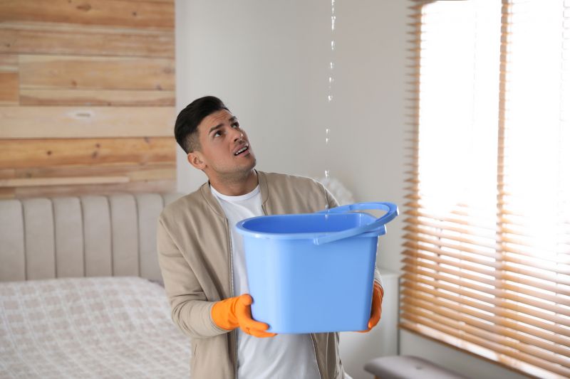 Bedroom Leak Repair in Castle Rock, CO