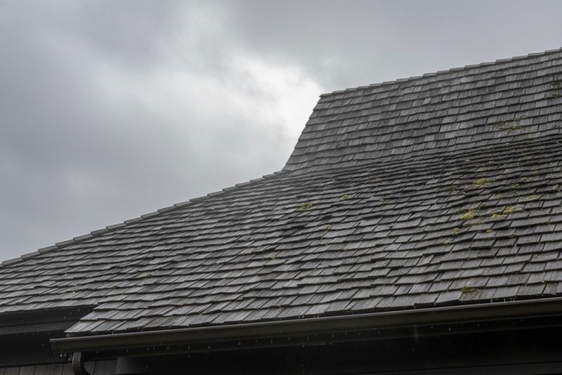 Cedar Shingles Replacement in Parker, CO