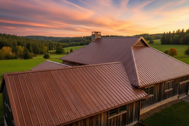 Copper Roof Replacement in Castle Rock, CO