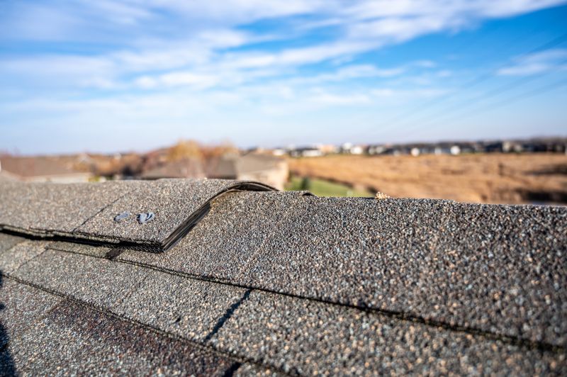 Damaged Roof Repair in Elizabeth, CO