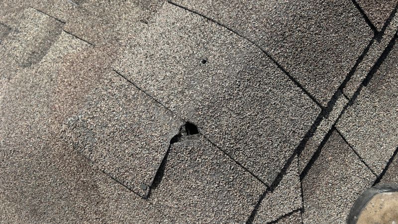 Damaged Roof Repair in Kiowa, CO