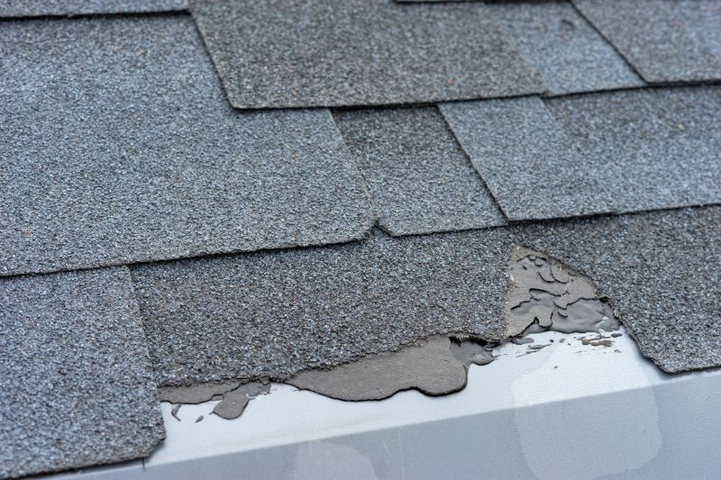 Damaged Roof Repair in Larkspur, CO