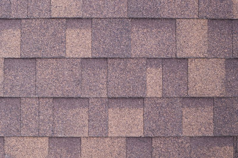 Fiberglass Shingles Repair in Castle Rock, CO