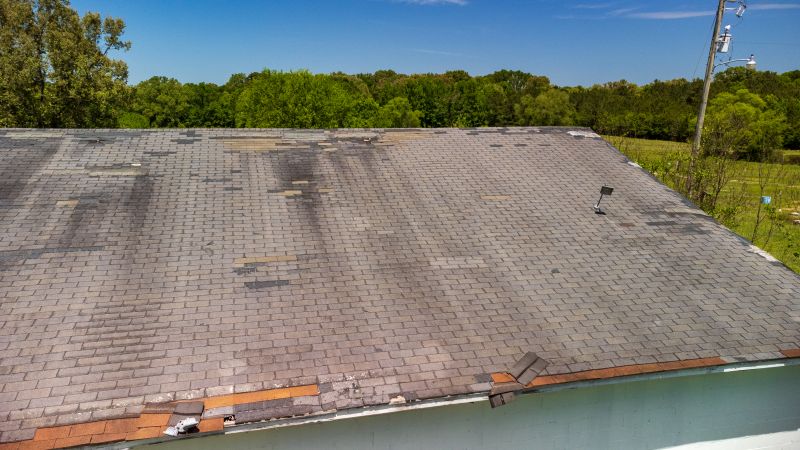 Hail Damage Roof Repair in Castle Rock, CO