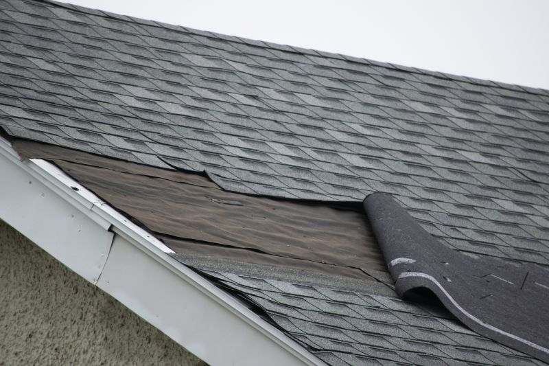 House Roof Repair in Littleton, CO