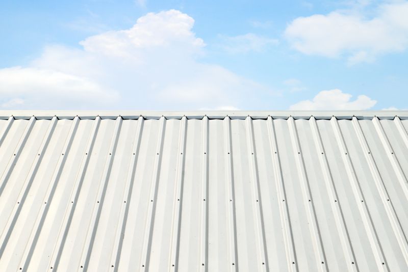 Metal Roof Coating Service in Castle Rock, CO