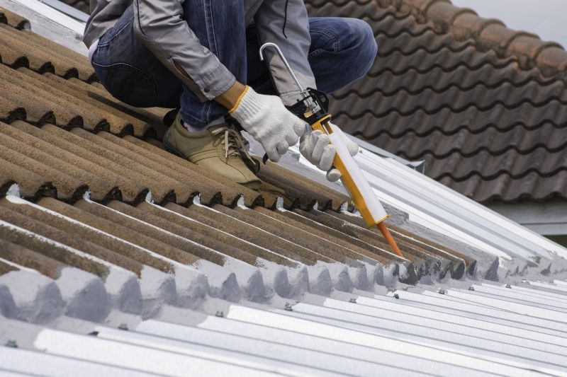 Metal Roof Sealing in Castle Rock, CO