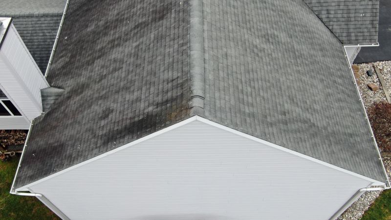Roof Damage Inspection in Palmer Lake, CO