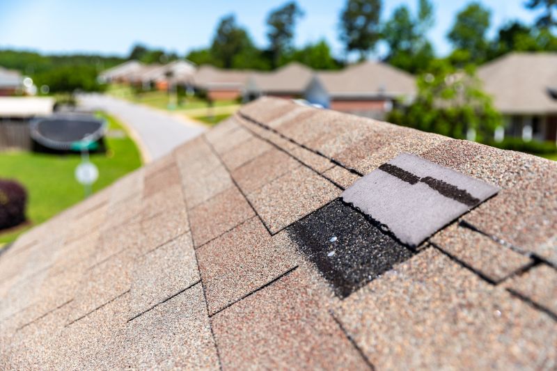 Roof Hail Damage Repair in Castle Rock, CO