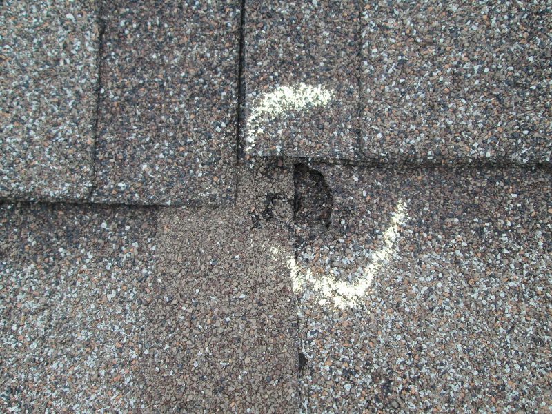 Roof Hail Damage Repair in Castle Rock, CO