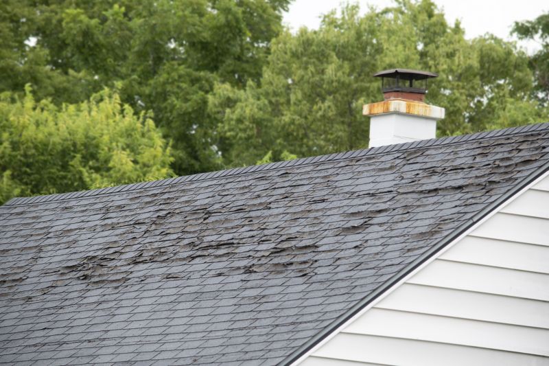 Roof Hail Damage Repair in Castle Rock, CO