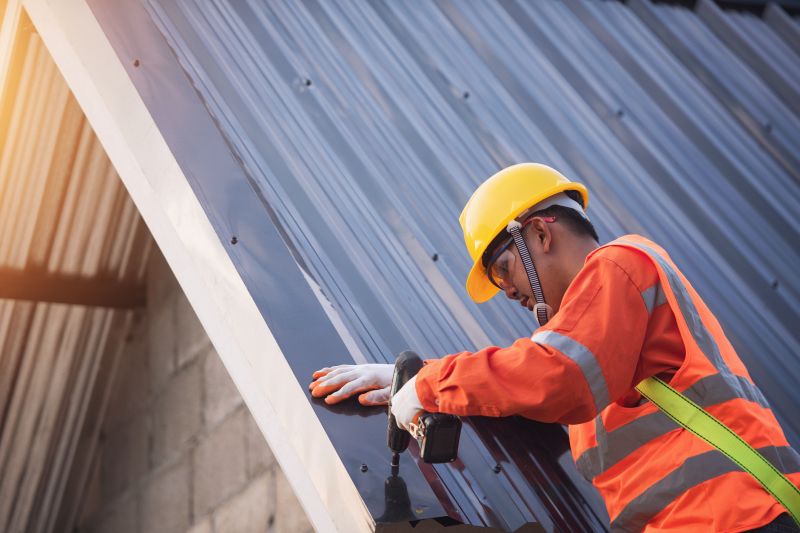 Roof Panel Repair in Castle Rock, CO