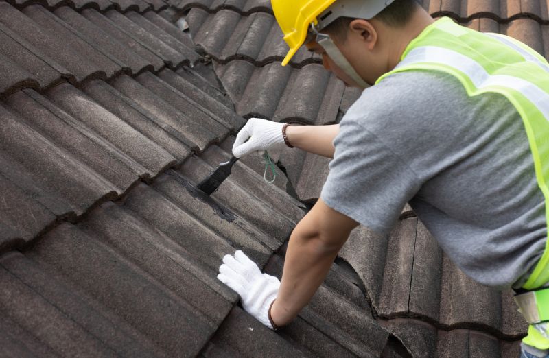 Roof Patching Service in Castle Rock, CO