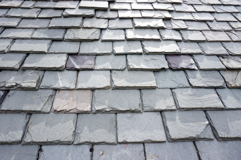 Slate Shingles Repair in Douglas County, CO