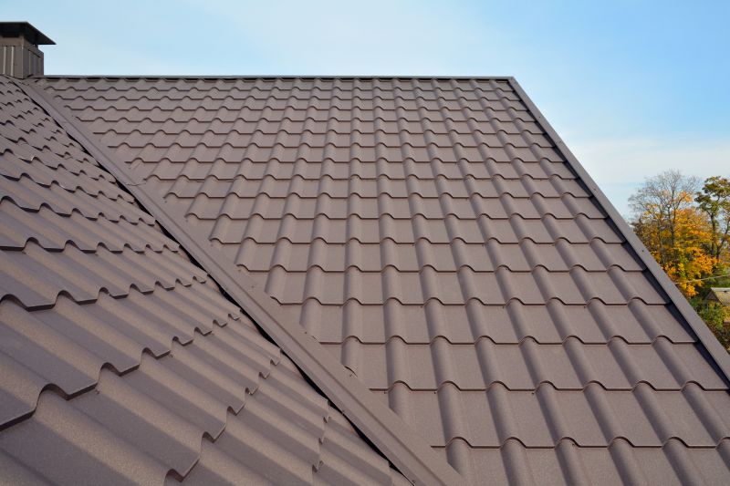 Tin Roof Installation in Jefferson County, CO