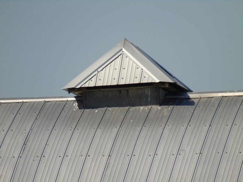 Tin Roof Installation in Littleton, CO
