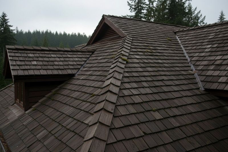 Wood Shake Roof Replacement in Denver County, CO